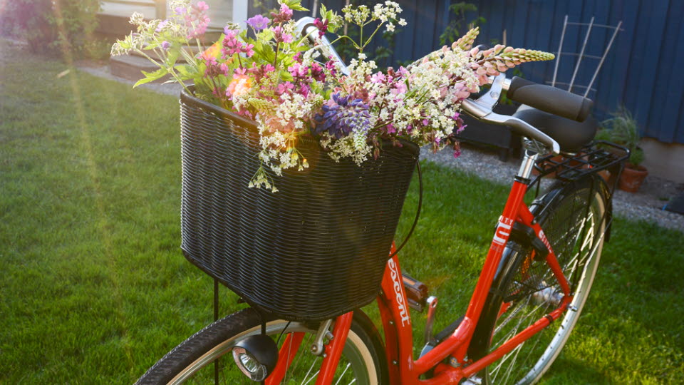 Cykel med blommor i en cykelkorg.