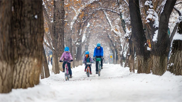 En man med två barn cyklar på en snöig väg omgiven av höga träd.